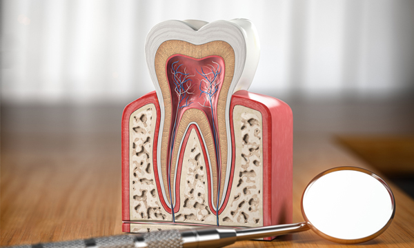 root canals seattle wa